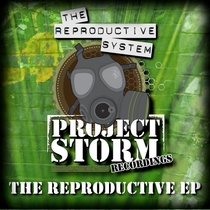 THE REPRODUCTIVE SYSTEM - The Reproductive EP