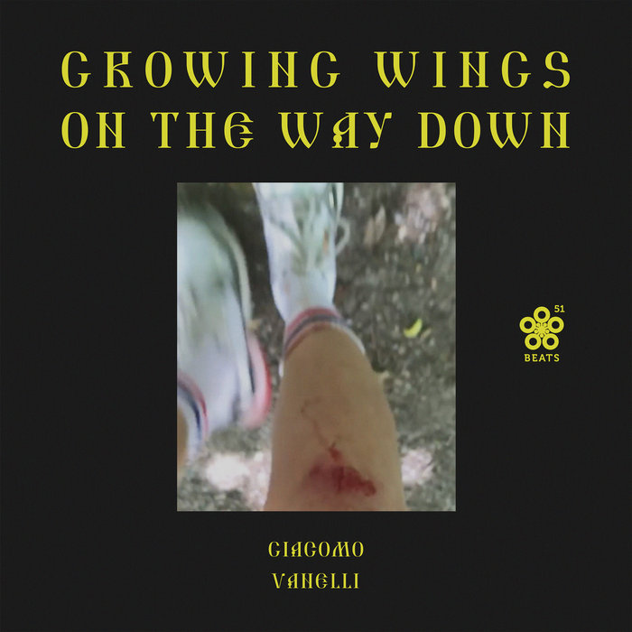 GIACOMO VANELLI - Growing Wings On The Way Down