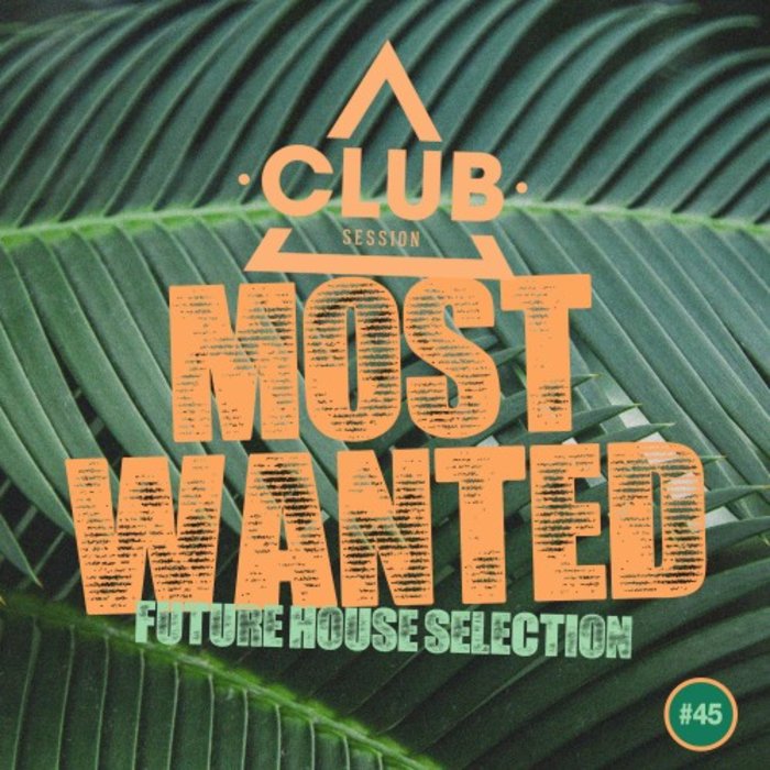 VARIOUS - Most Wanted: Future House Selection Vol 45