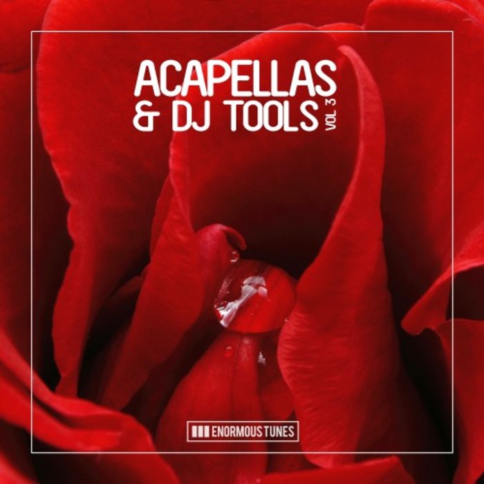 VARIOUS - Enormous Tunes - Acapellas & DJ-Tools Vol 3