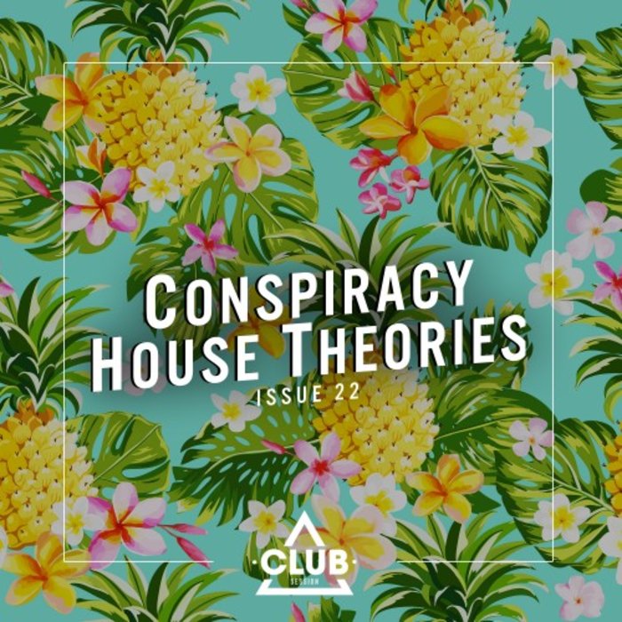 VARIOUS - Conspiracy House Theories Issue 22