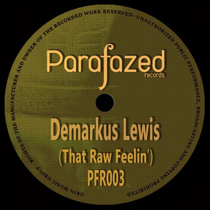 DEMARKUS LEWIS - That Raw Feelin'