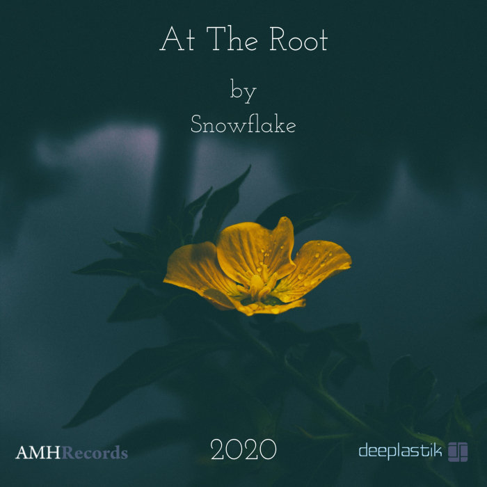 DEEPLASTIK/SICHI - At The Root (2020 Remix)