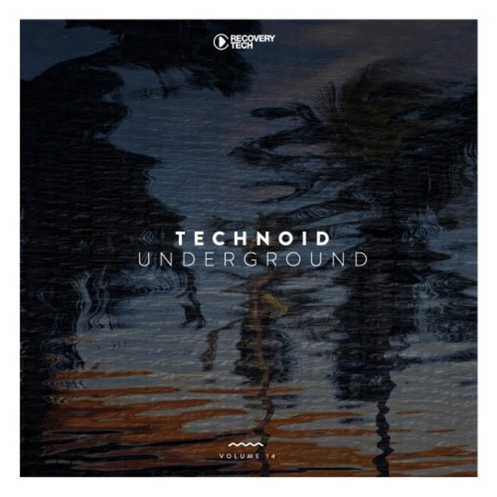 VARIOUS - Technoid Underground Vol 14