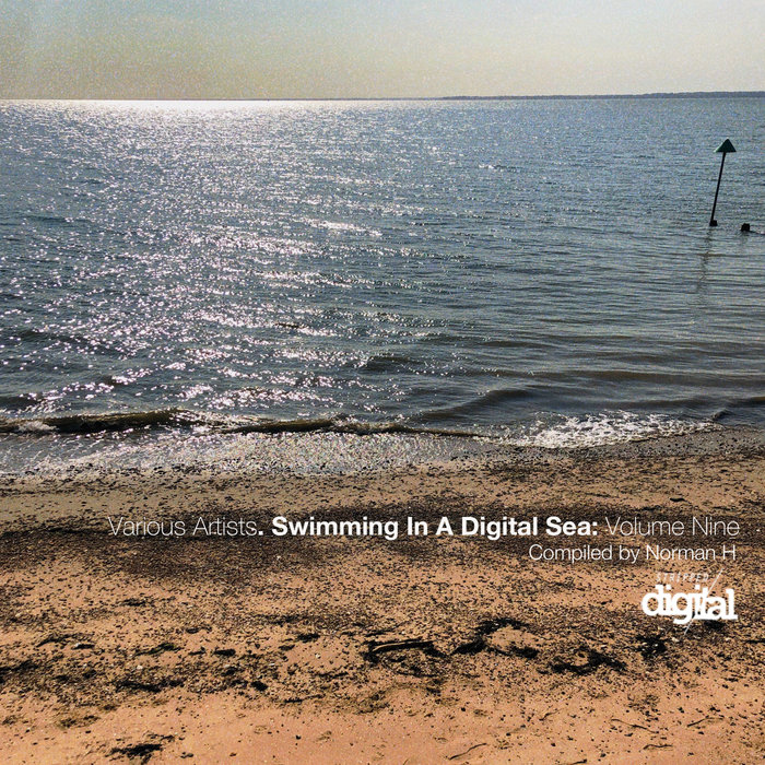VARIOUS - Swimming In A Digital Sea: Volume Nine