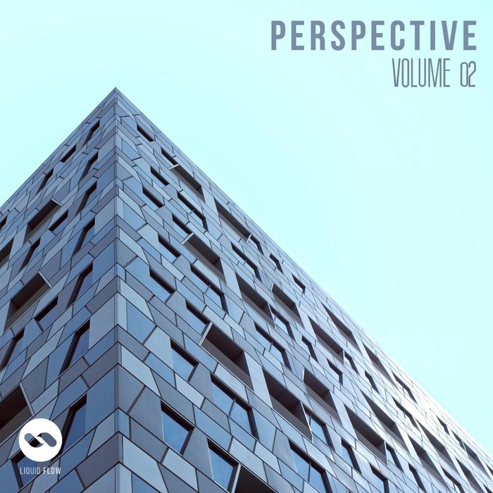 VARIOUS - Perspective Vol 2