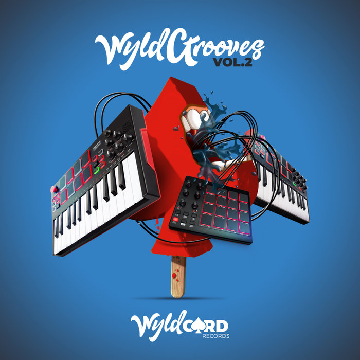 VARIOUS - WyldGrooves Vol 2