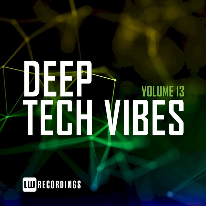 VARIOUS - Deep Tech Vibes Vol 13