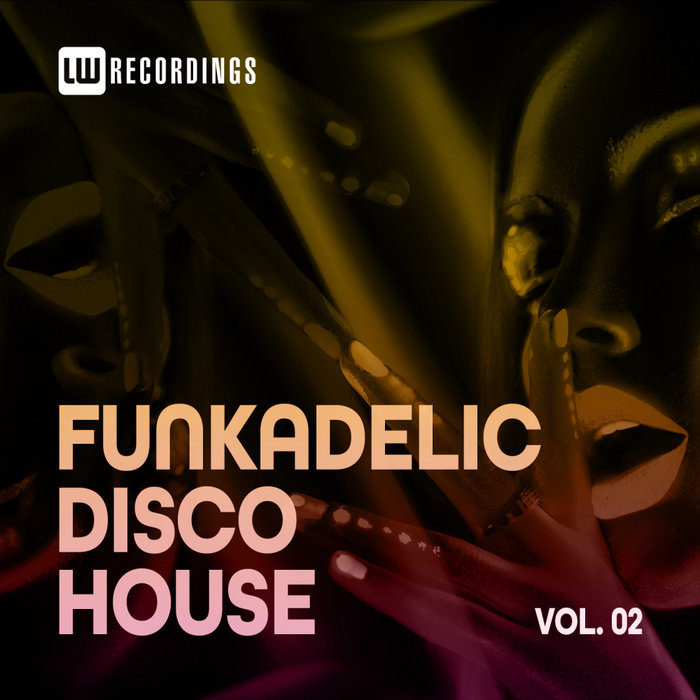 VARIOUS - Funkadelic Disco House, Vol 02