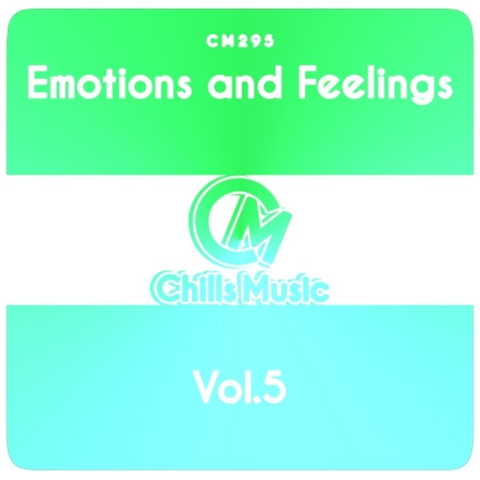 VARIOUS - Emotions & Feelings Vol 5