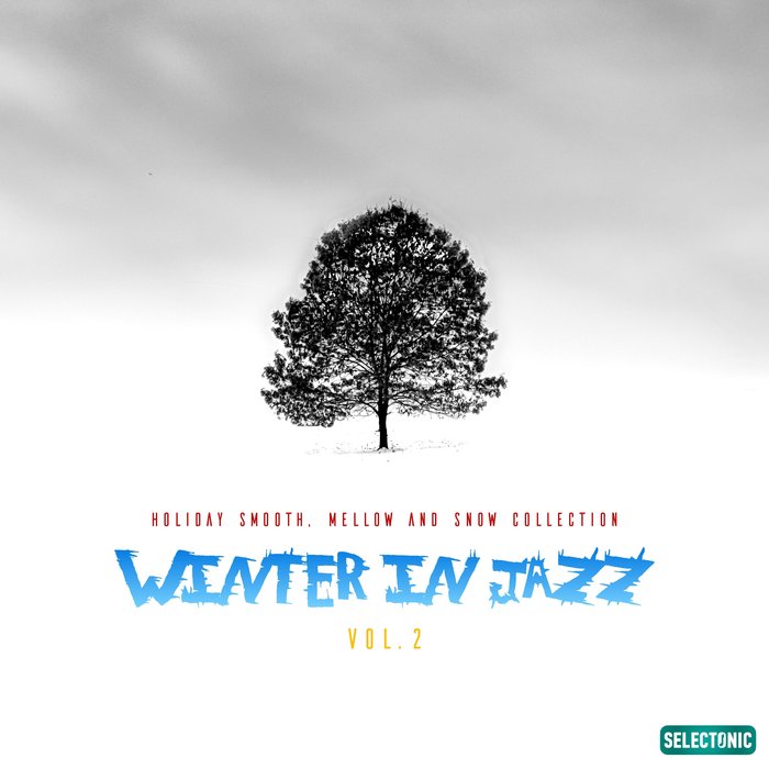 VARIOUS - Winter In Jazz: Holiday Smooth, Mellow & Snow Collection, Vol 2