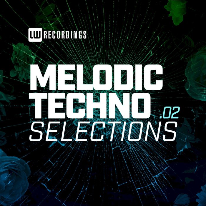 VARIOUS - Melodic Techno Selections Vol 02
