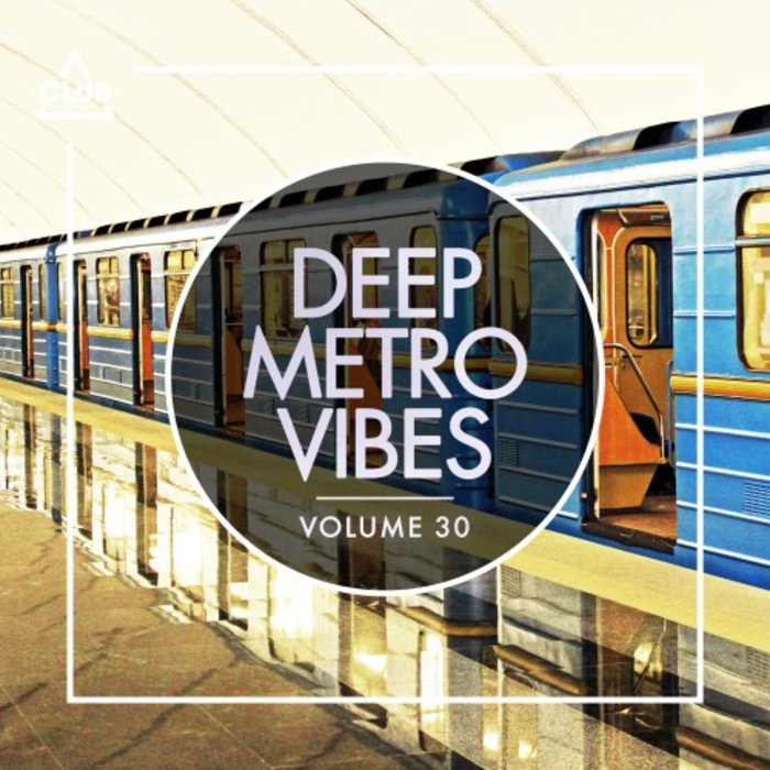 VARIOUS - Deep Metro Vibes Vol 30