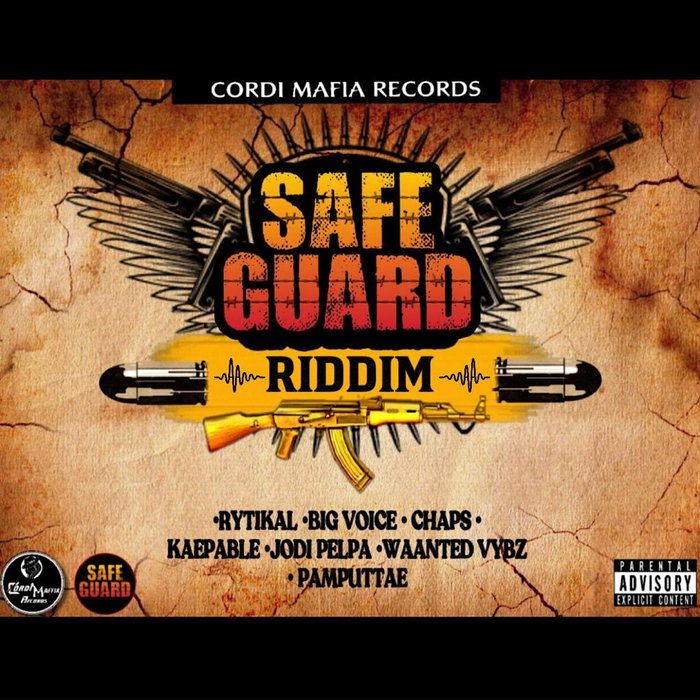 VARIOUS - Safeguard Riddim (Explicit)