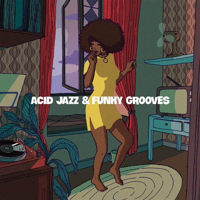 VARIOUS - Acid Jazz & Funky Grooves