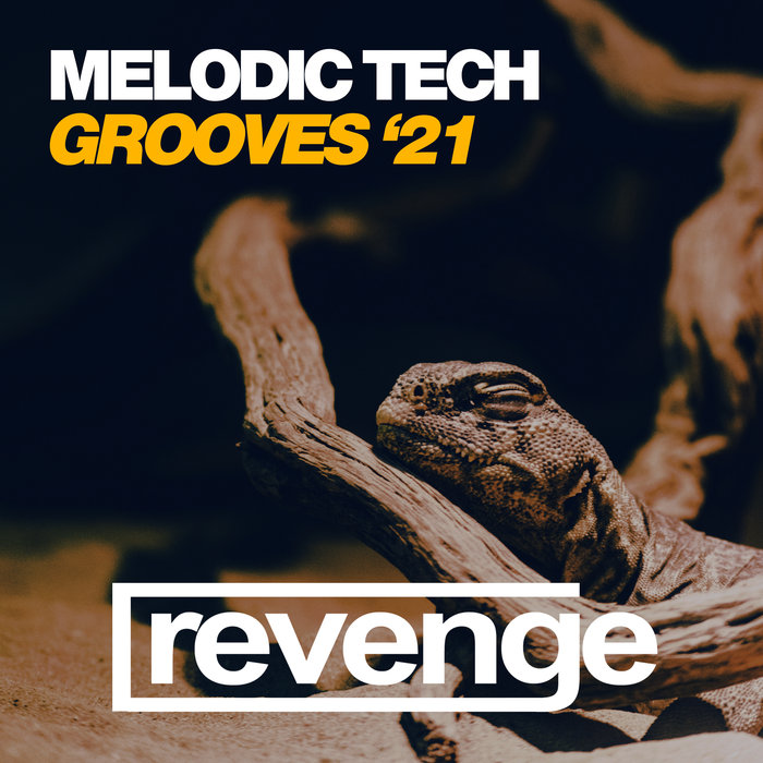 VARIOUS - Melodic Tech Grooves '21