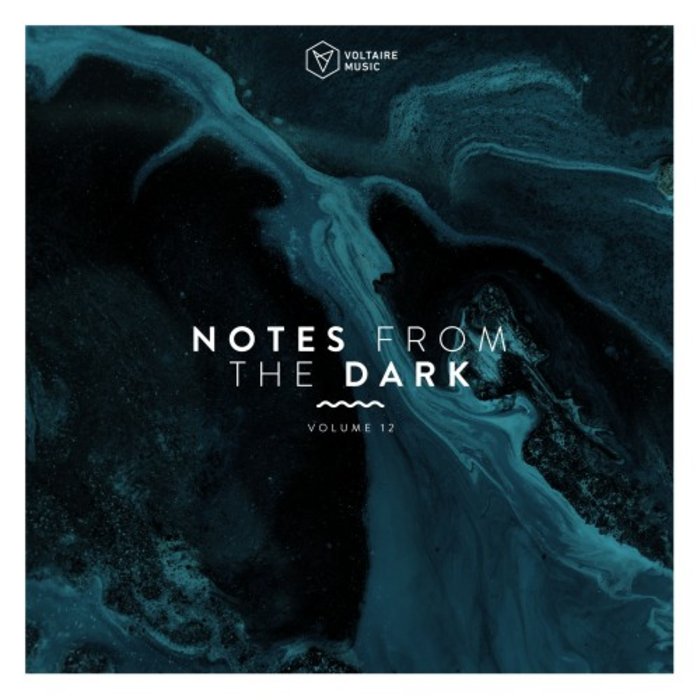 VARIOUS - Notes From The Dark Vol 12