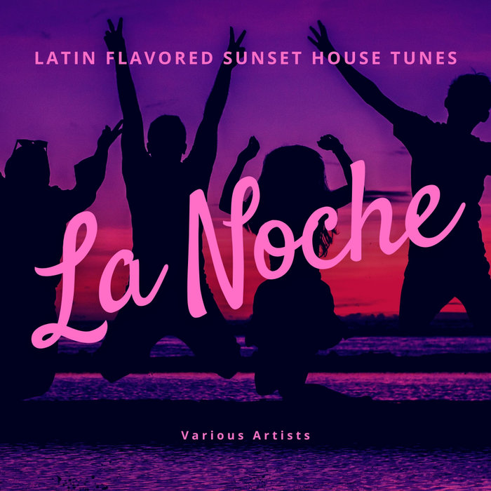 VARIOUS - La Noche (Latin Flavored Sunset House Tunes)