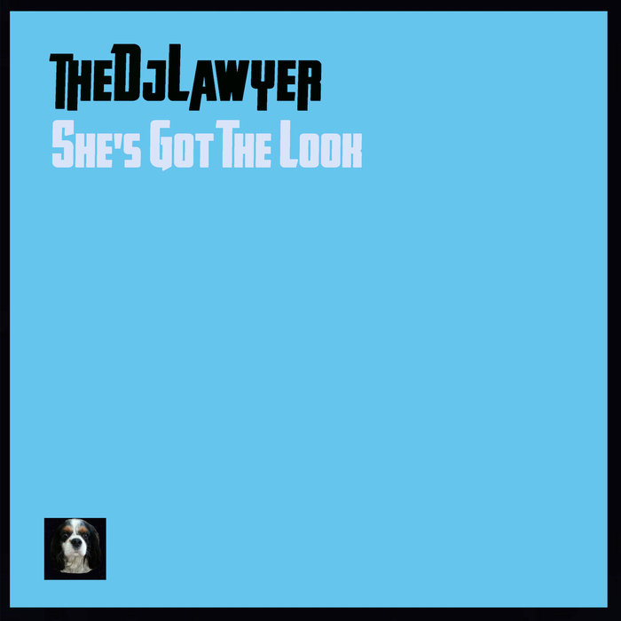 THEDJLAWYER - She's Got The Look