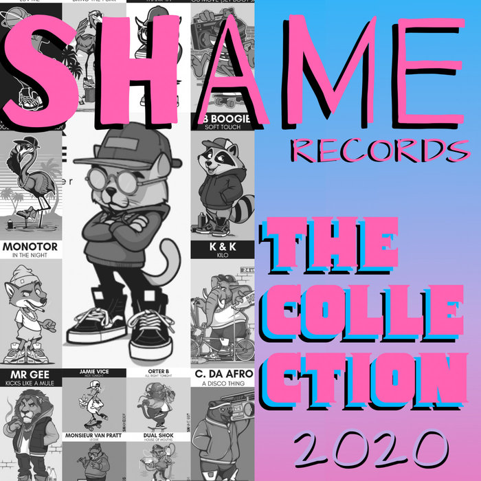 VARIOUS - Shame Records - The Collection 2020