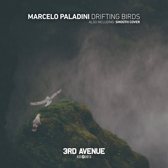 MARCELO PALADINI - Drifting Birds