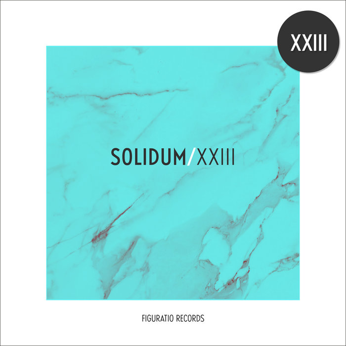 ERECTUS VOID/VARIOUS - Solidum XXIII