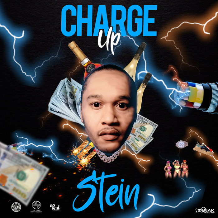 STEIN - Charge Up