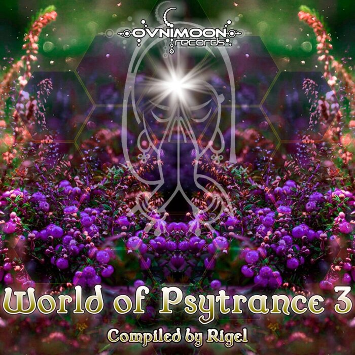 Various - World Of Psytrance 3