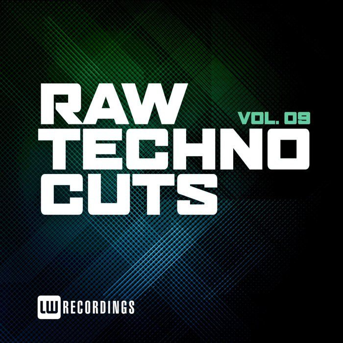 VARIOUS - Raw Techno Cuts Vol 9