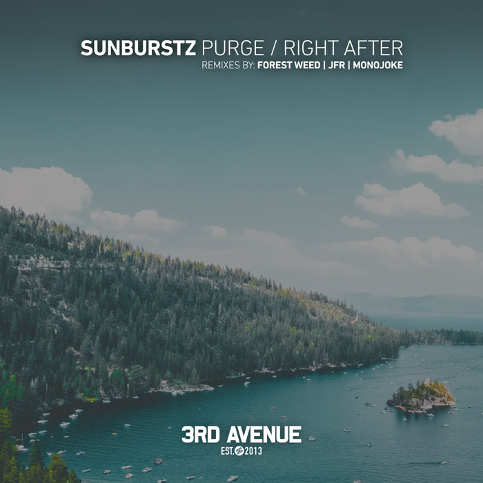 SUNBURSTZ - Purge/Right After