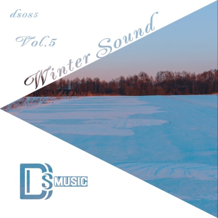sound spectrum winter wonders 2017