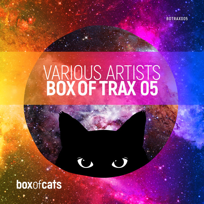 VARIOUS - Box Of Trax Vol 5