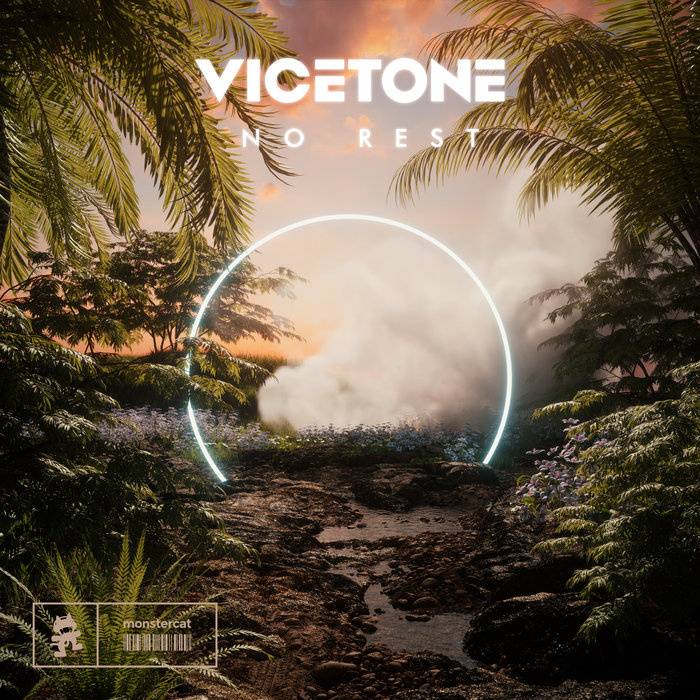 VICETONE - No Rest