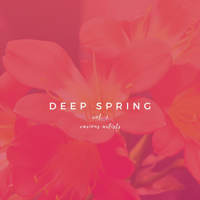 VARIOUS - Deep Spring Vol 1