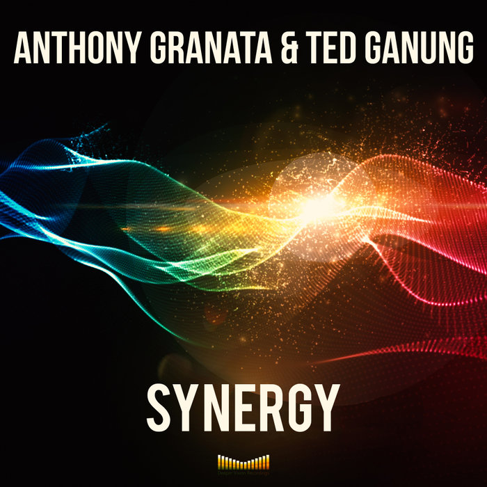 ANTHONY GRANATA/TED GANUNG - Synergy