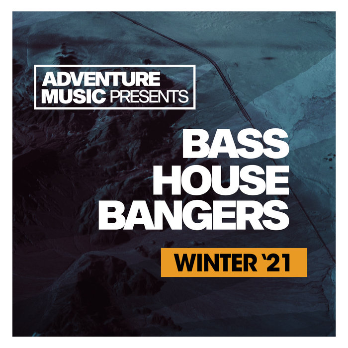 VARIOUS - Bass House Bangers (Winter '21)