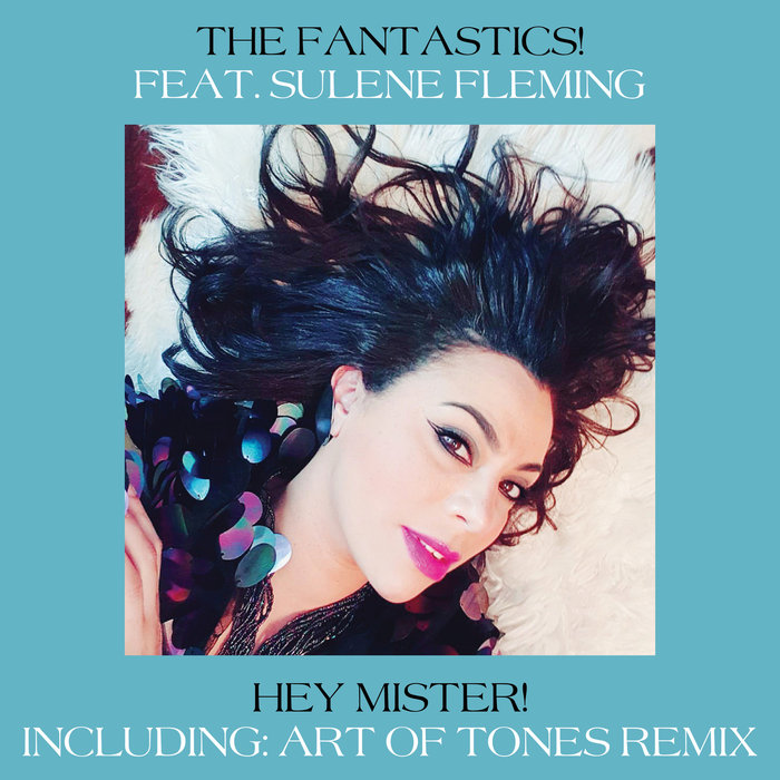 THE FANTASTICS! - Hey Mister!