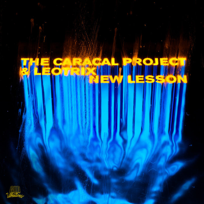 THE CARACAL PROJECT/LEOTRIX - New Lesson