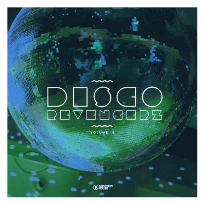 VARIOUS - Disco Revengerz Vol 19 - Discoid House Selection