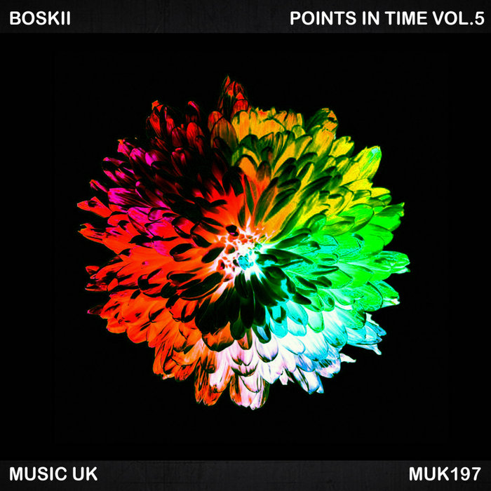 Points In Time Vol 5 by Boskii on MP3, WAV, FLAC, AIFF & ALAC at Juno ...