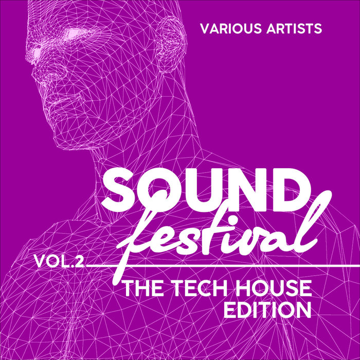 VARIOUS - Sound Festival (The Tech House Edition) Vol 2