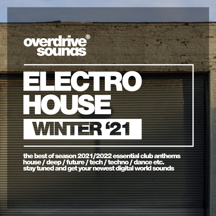 VARIOUS - Electro House Music (Winter '21)