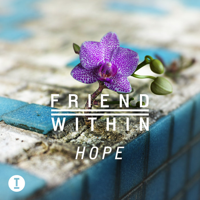 FRIEND WITHIN - Hope