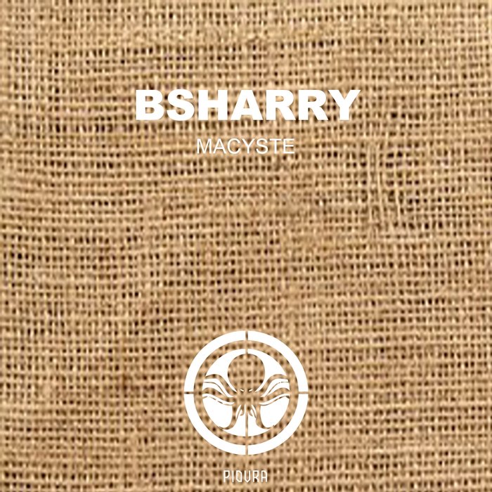 BSHARRY - Macyste (Extended Mix)