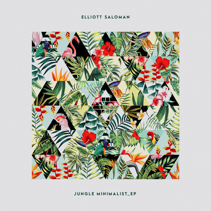 ELLIOTT SALOMAN - Jungle Minimalist