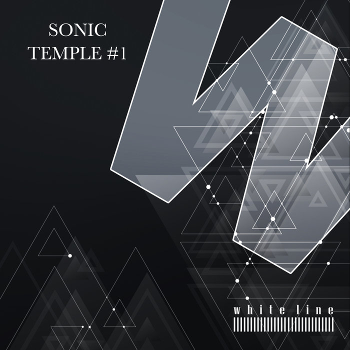 VARIOUS - Sonic Temple #1