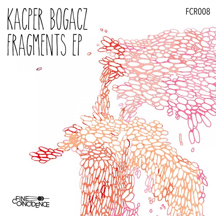 KACPER BOGACZ - Fragments