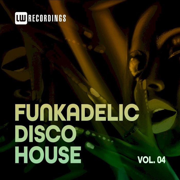 VARIOUS - Funkadelic Disco House Vol 04