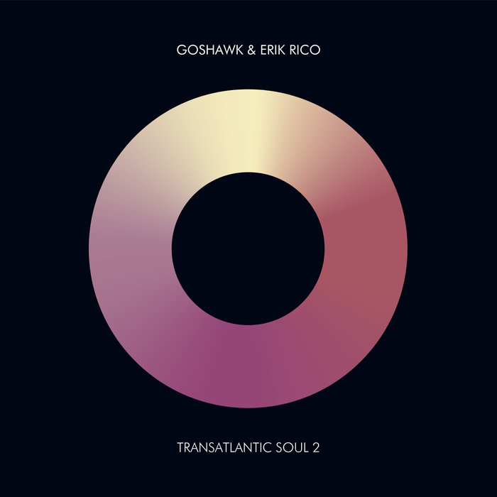 GOSHAWK/ERIK RICO - Transatlantic Soul 2