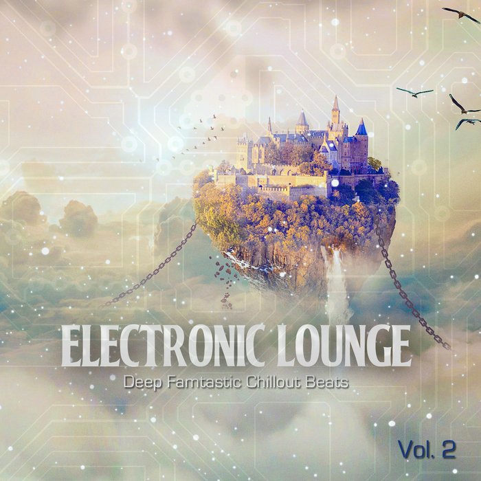 VARIOUS - Electronic Lounge Vol 2